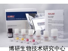 人(17-OHCS)17羥皮質(zhì)類固醇ELISA試劑盒_供應產(chǎn)品_博研生物技術研究中心