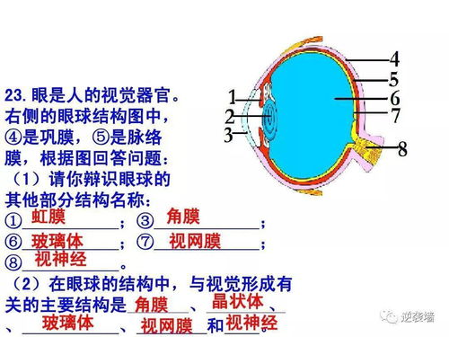 初中生物 重要識圖題填空歸納 建議收藏